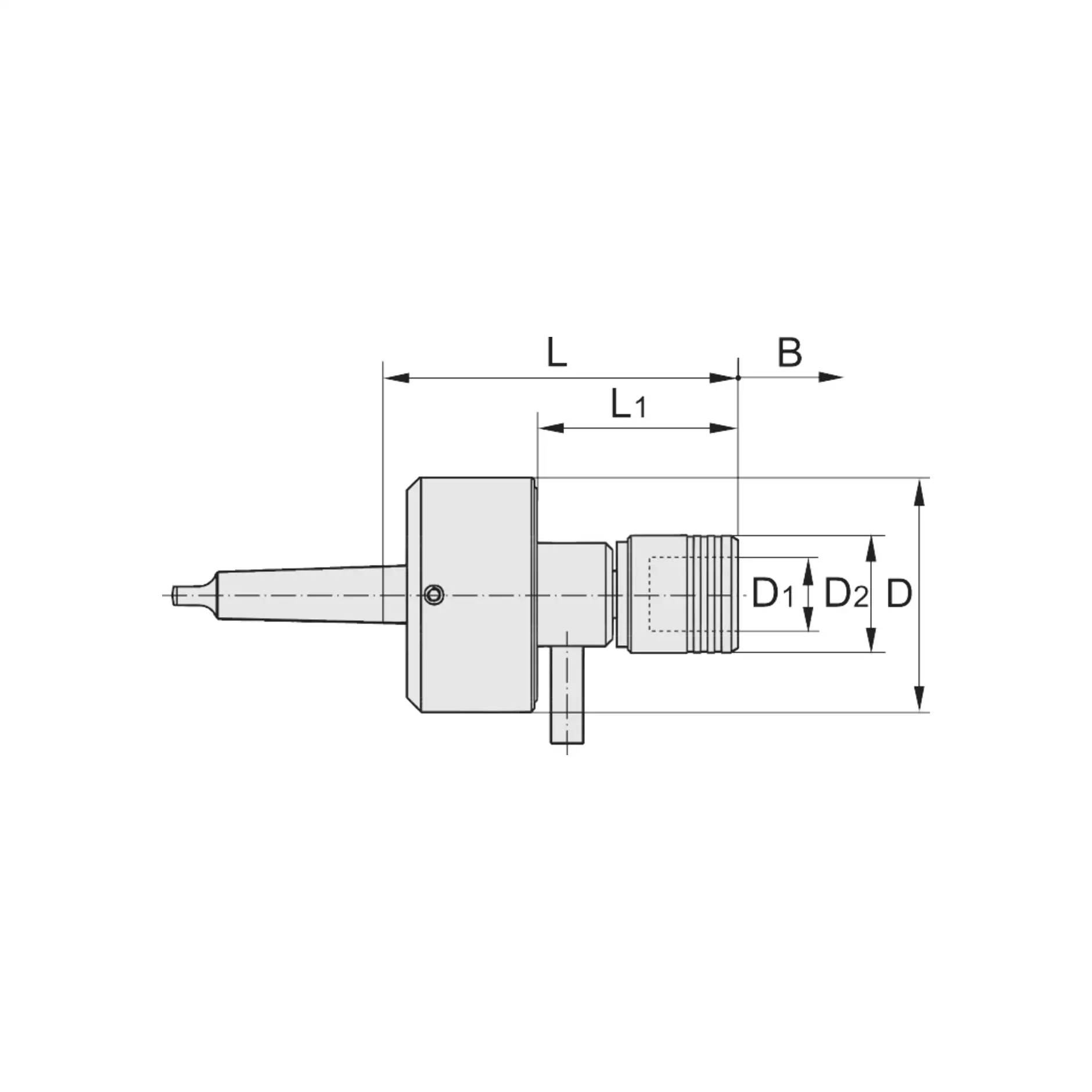 gr12_g334100