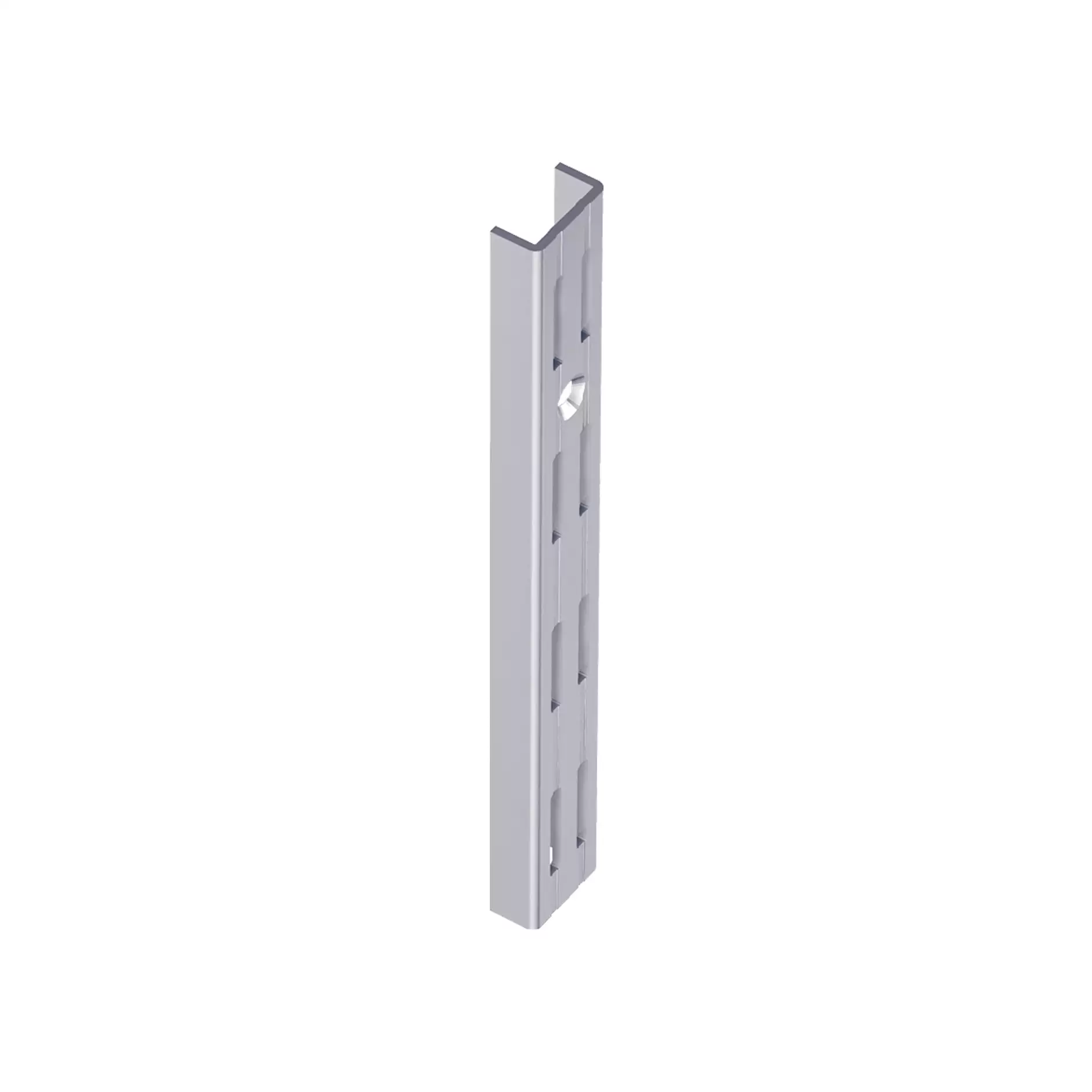 Element-System Wandschiene 2-reihig Stahl weiss