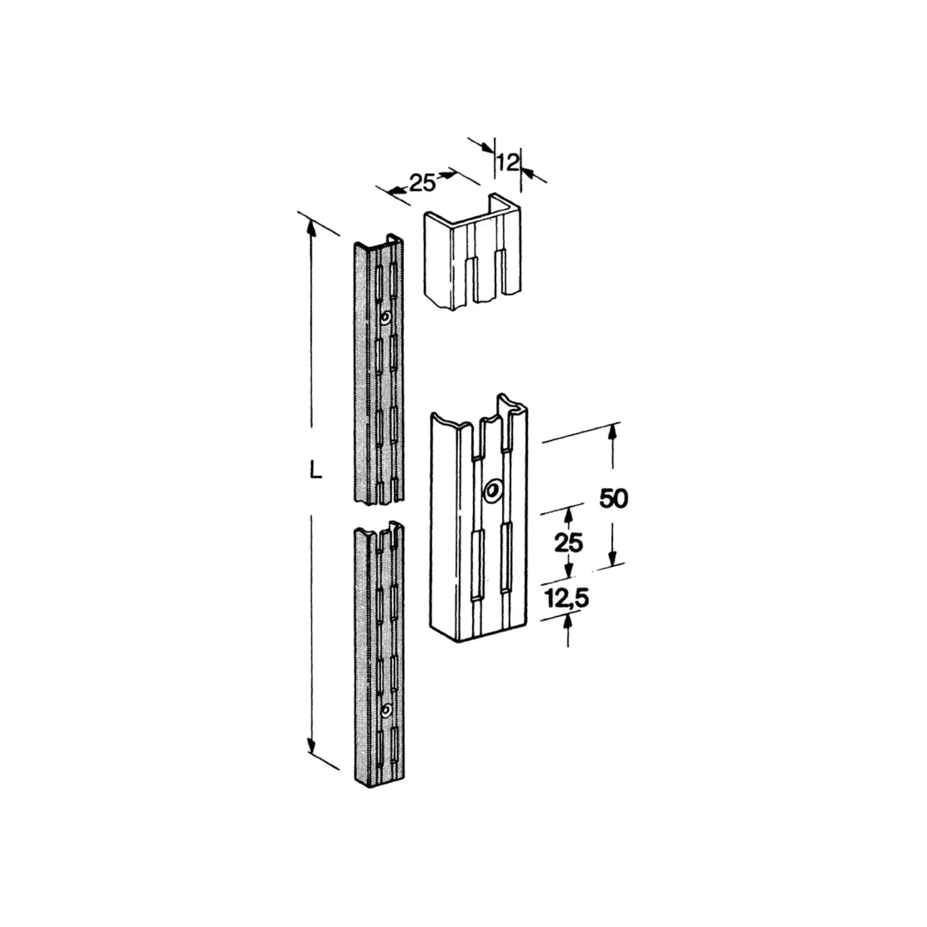 Element-System Wandschiene 2-reihig Stahl weiss
