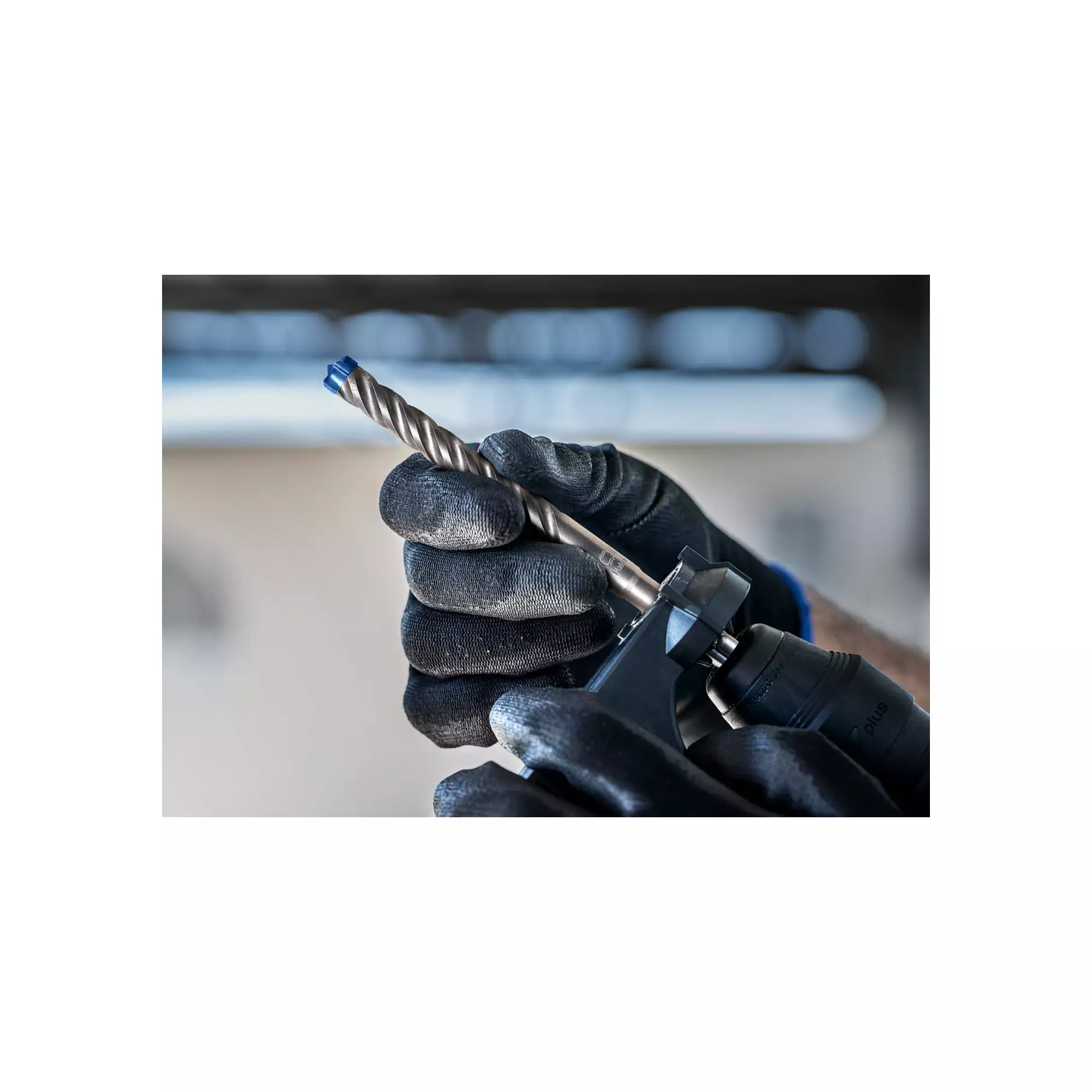 2793182_003_CloseUp (7)