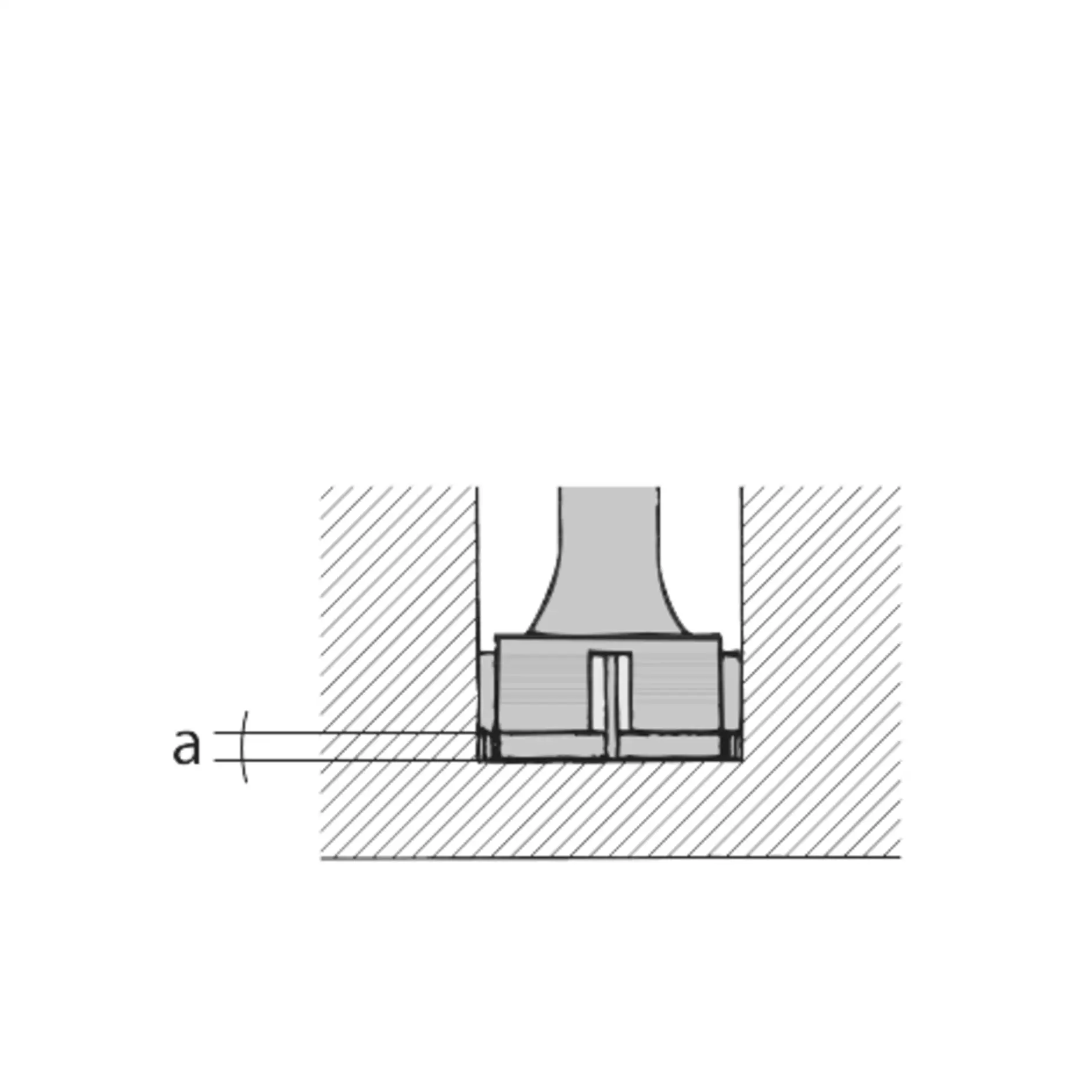 gr12_g428500