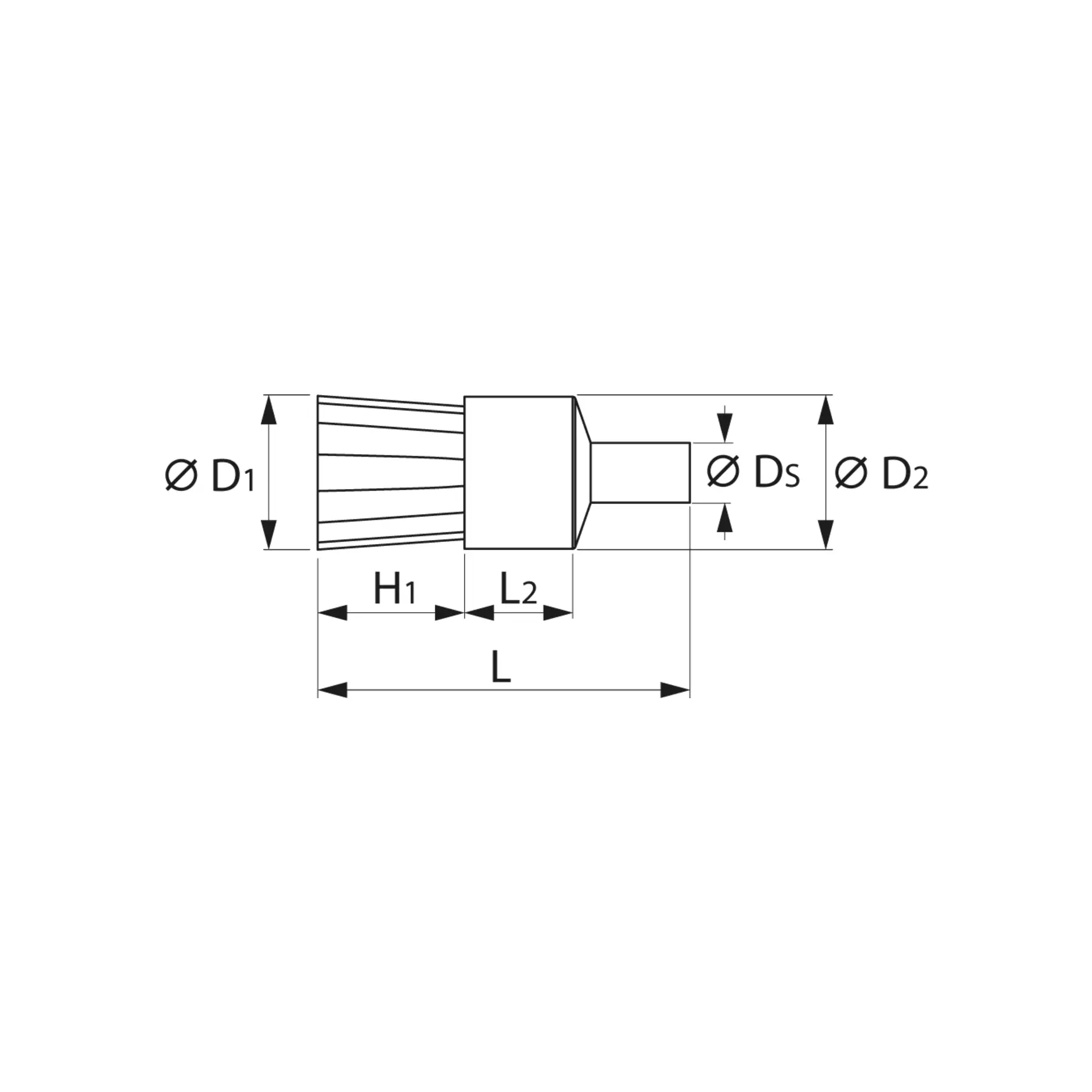 gr12_g57_pinsel